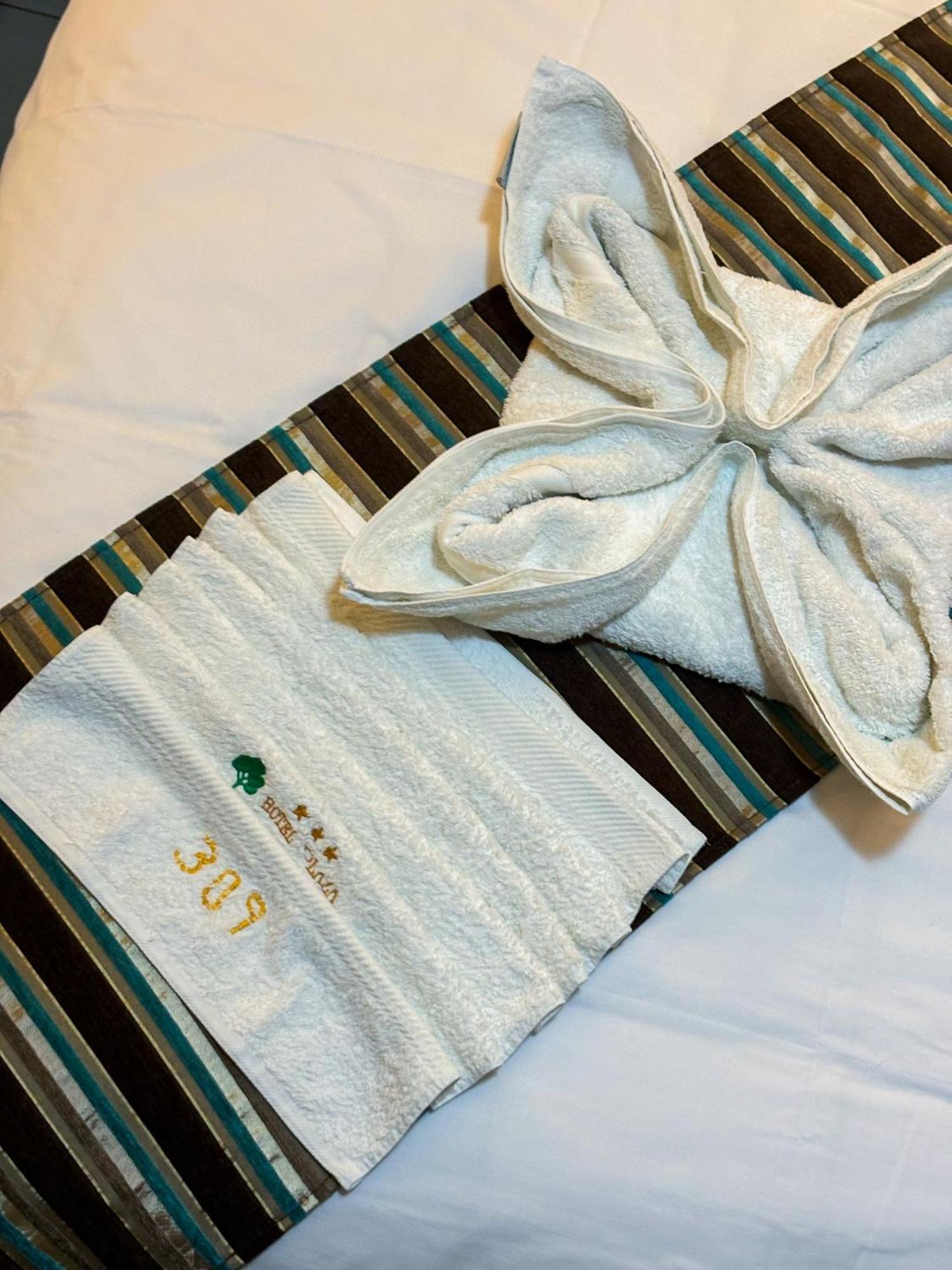 Hotel Plaza Del Bosque Inn ติงโกมาเรีย ภายนอก รูปภาพ